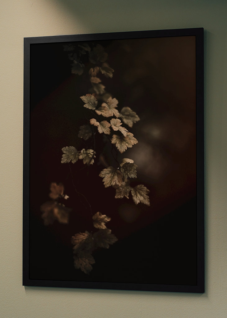 Leafs in the colors of atumn