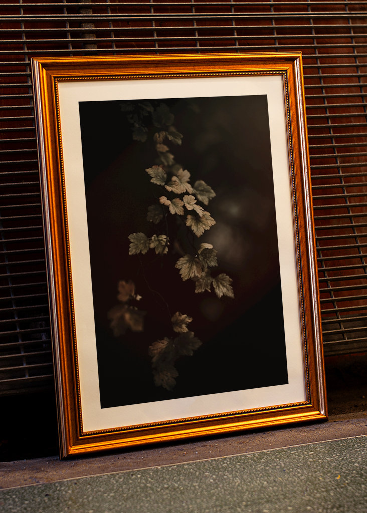 Leafs in the colors of atumn