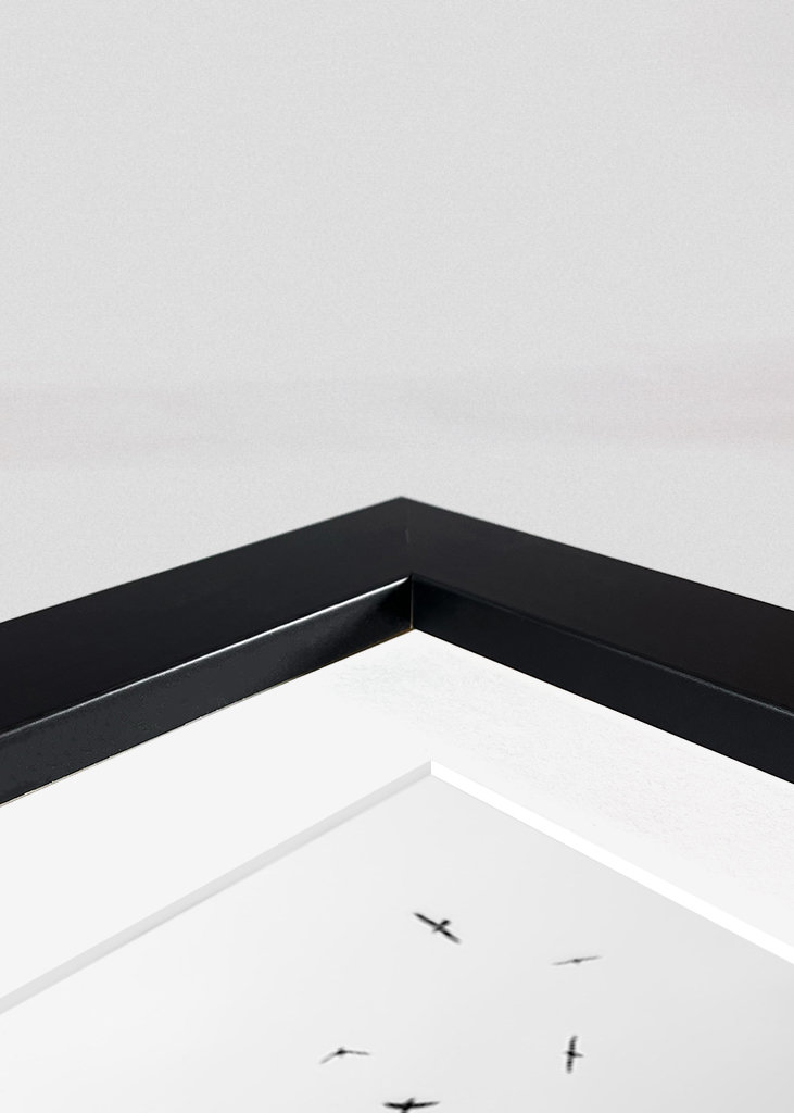 Příběh černobílé pohádky č. 1