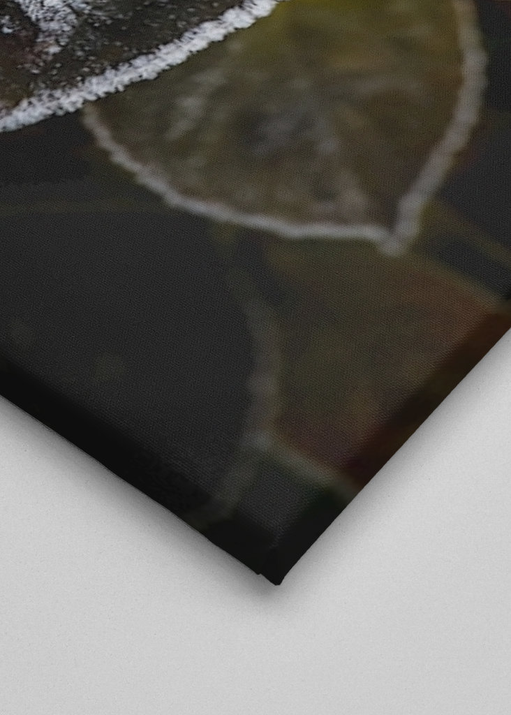 Frosty Flower Collection 2