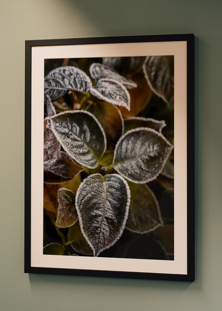 Frosty Flower Collection 2