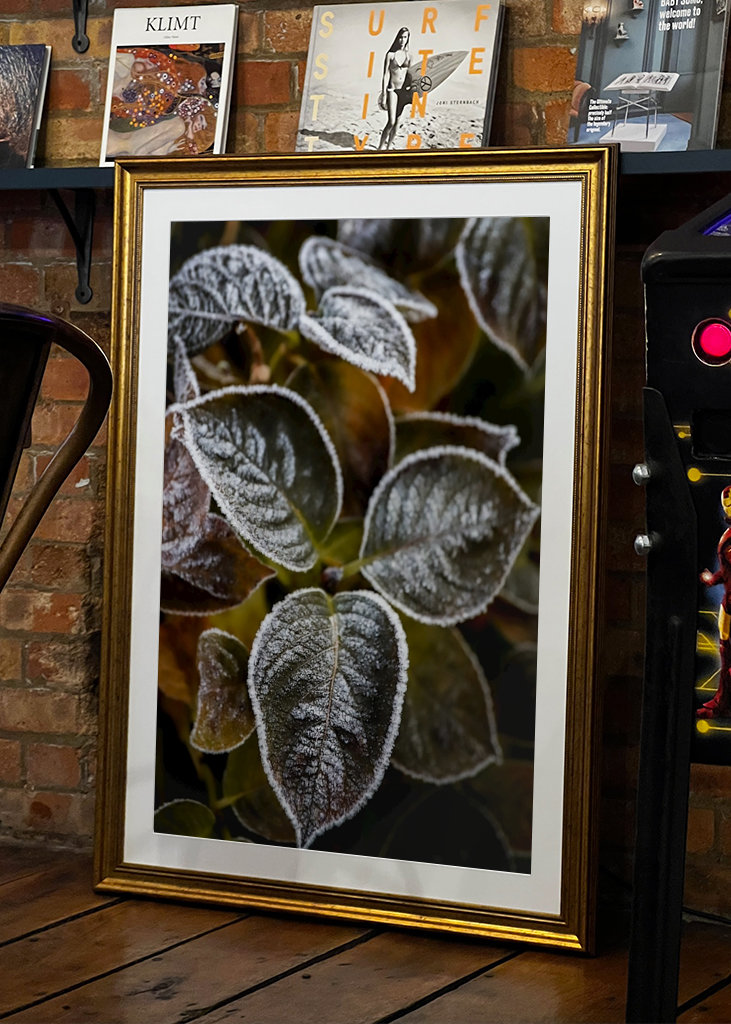 Frosty Flower Collection 2