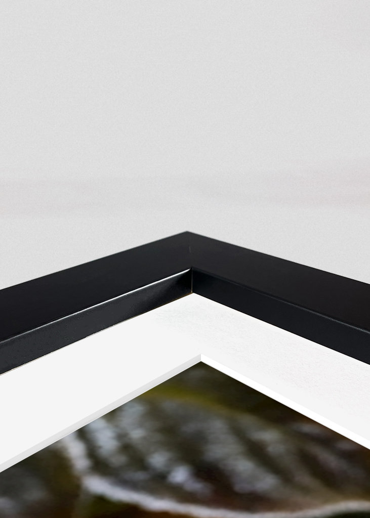 Frosty Flower Collection 2