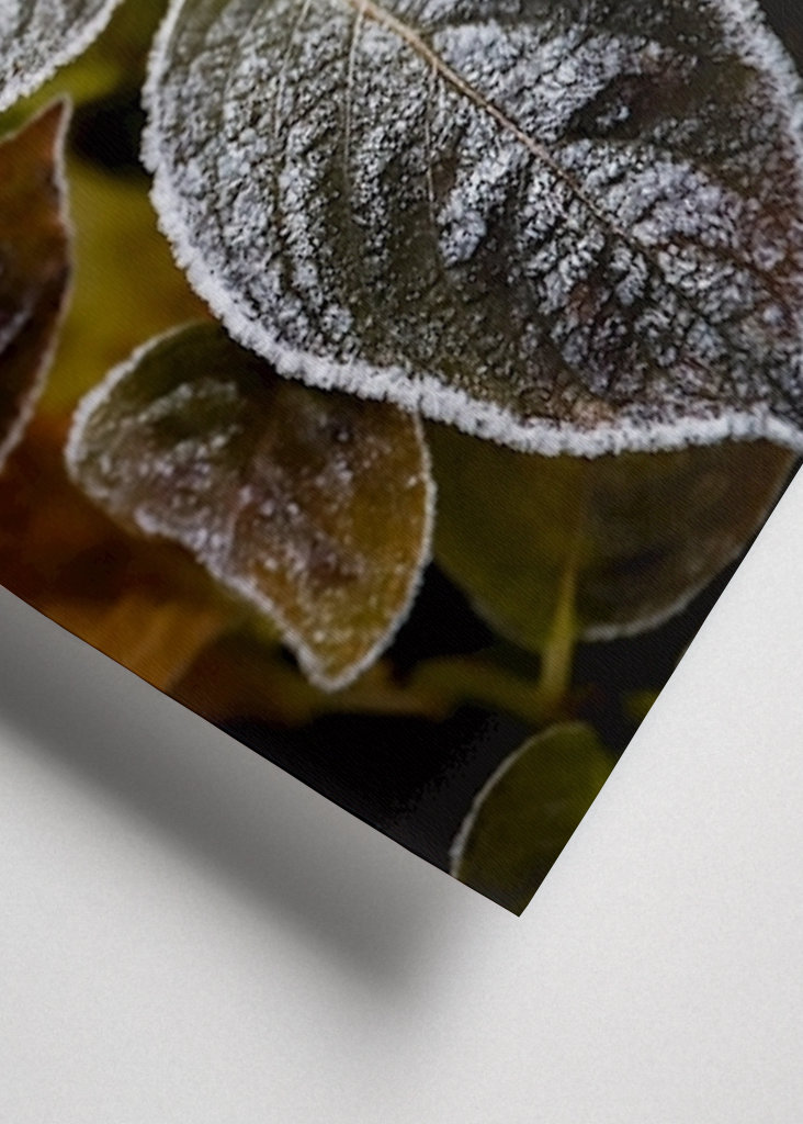 Frosty Flower Collection 2