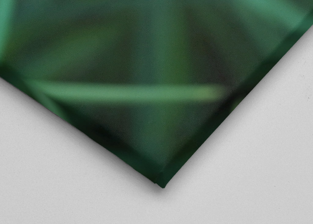 Blühender Schnittlauch