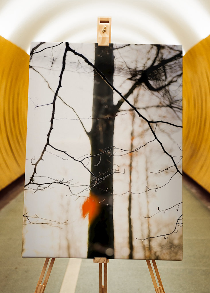 Orange ist das neue Schwarz 1