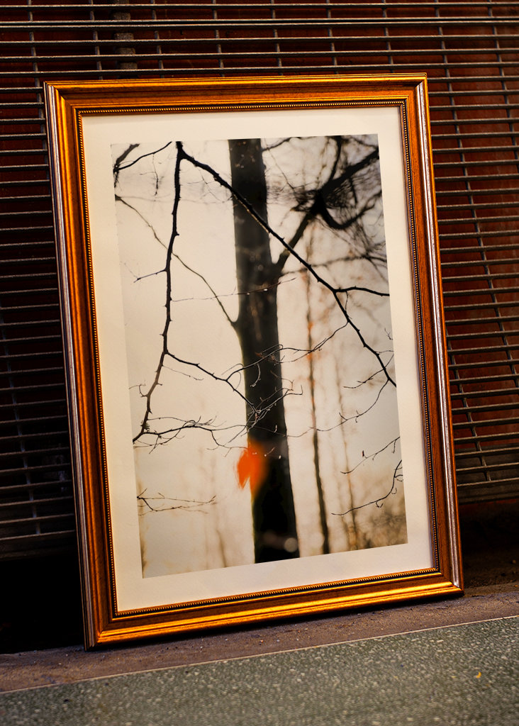 Orange ist das neue Schwarz 1