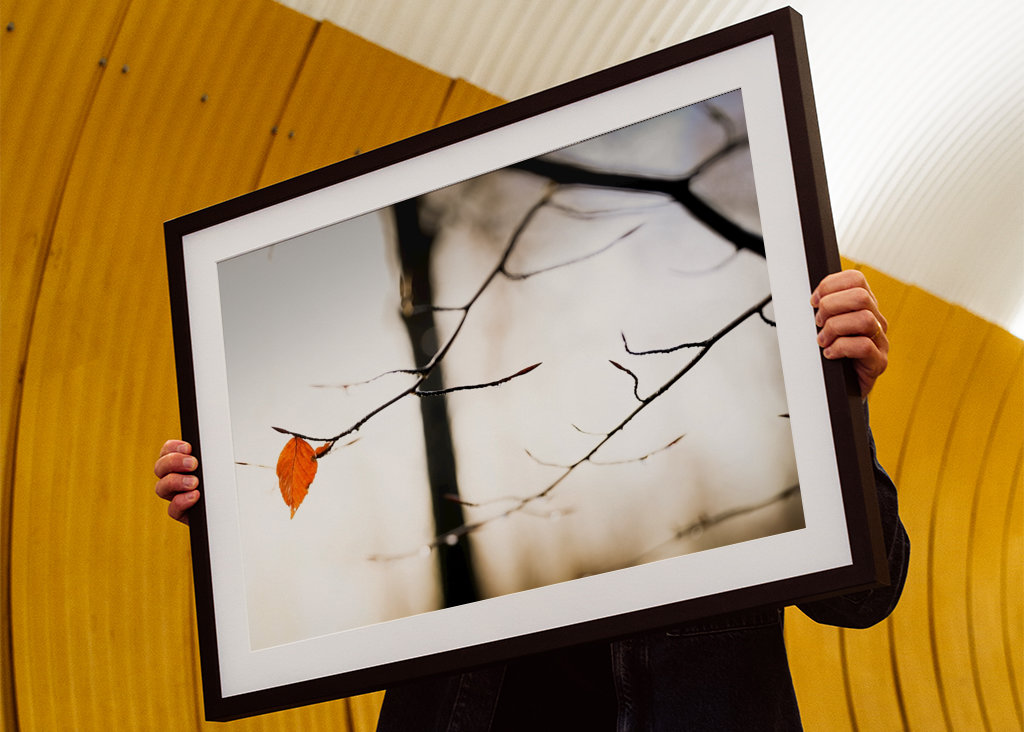 Orange ist das neue Schwarz 2