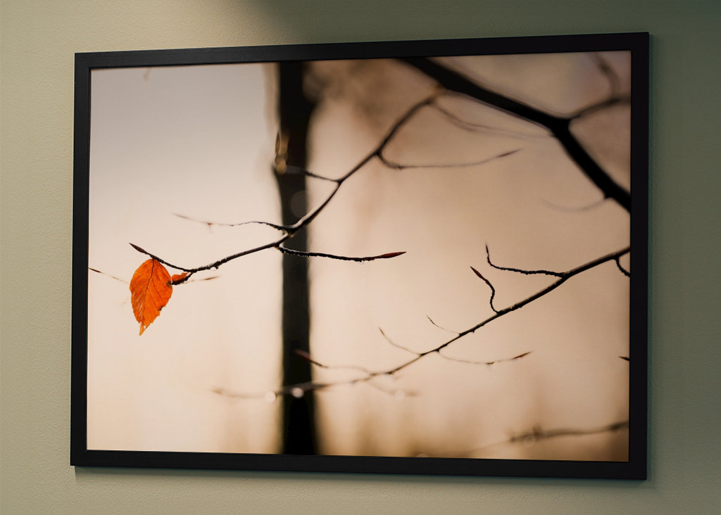 Orange ist das neue Schwarz 2