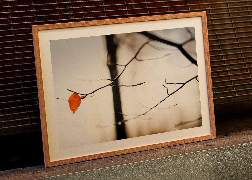 Orange ist das neue Schwarz 2