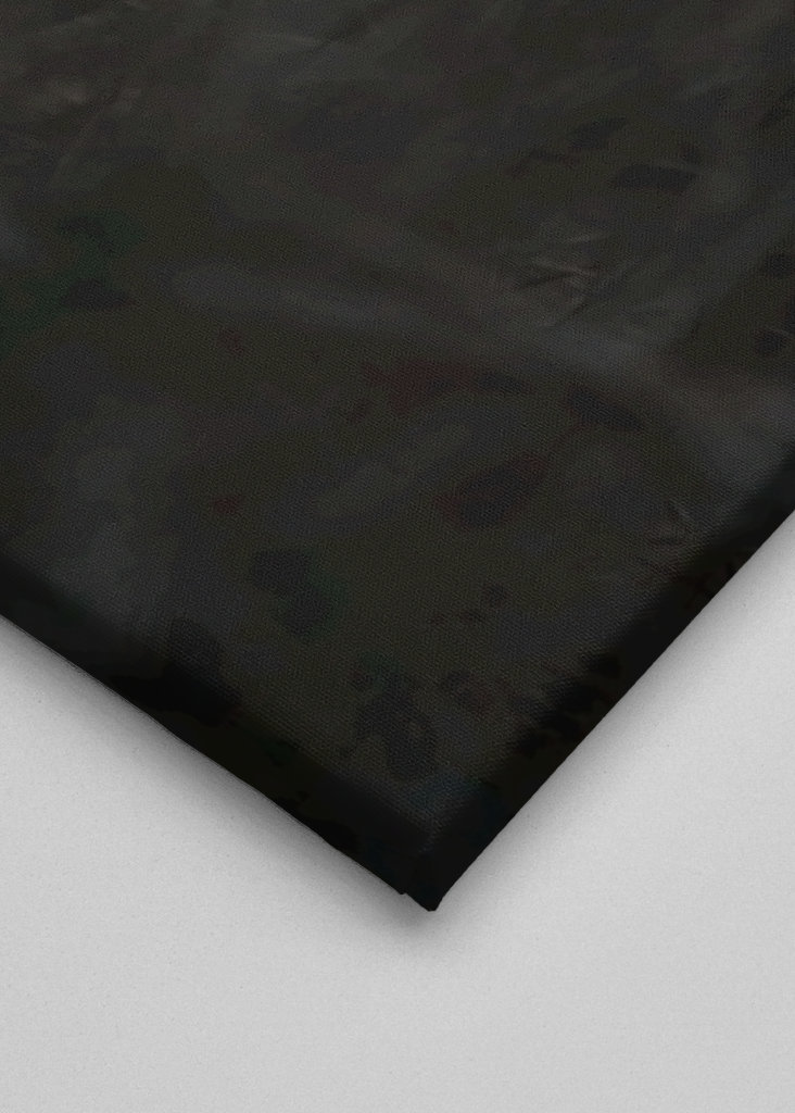 Faisão ao entardecer