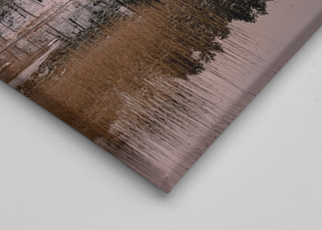 Bosque blanco con luz cálida y tenue