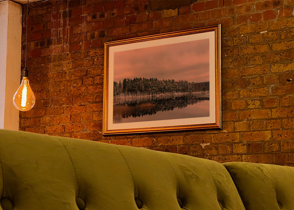 Bosque blanco con luz cálida y tenue