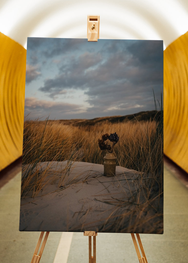 Morning Light in the Dunes