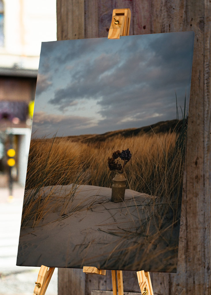 Morning Light in the Dunes