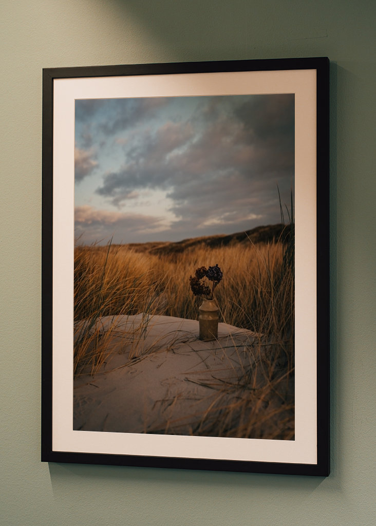 Morning Light in the Dunes