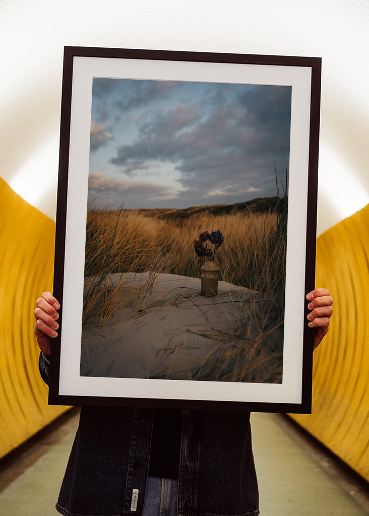Morning Light in the Dunes