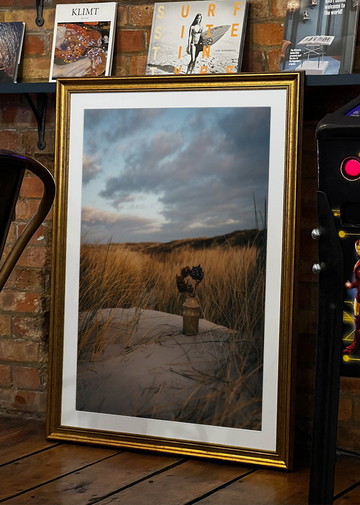 Morning Light in the Dunes