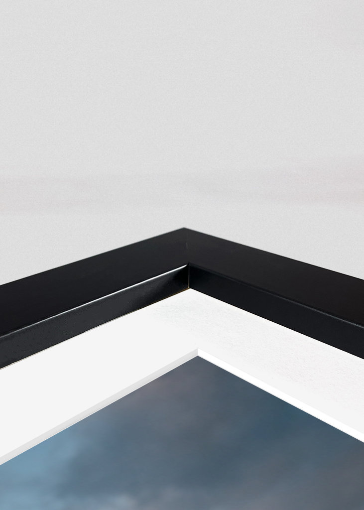 Morning Light in the Dunes