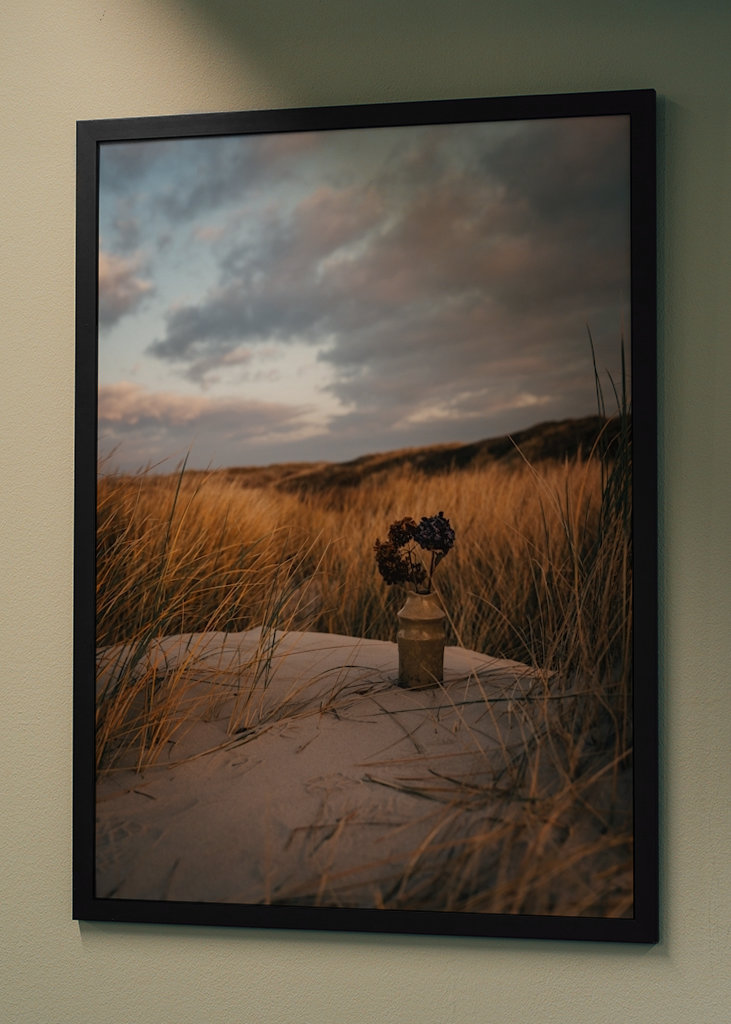 Morning Light in the Dunes