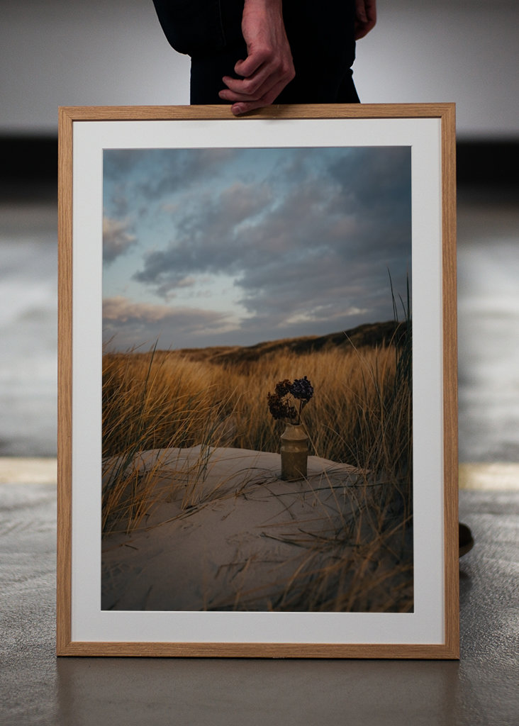 Morning Light in the Dunes