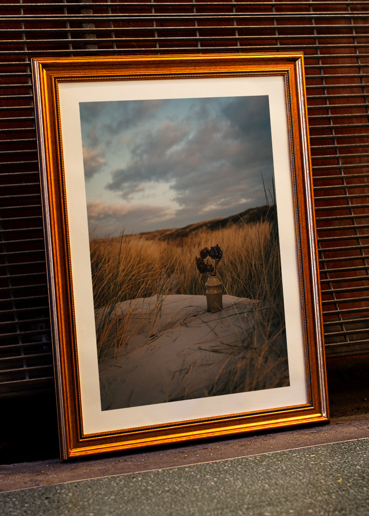 Morning Light in the Dunes