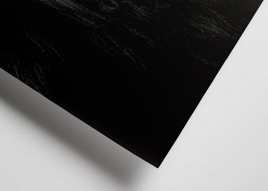 Løvehan kalder på sin flok