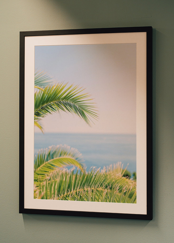 Palma tropického ráje