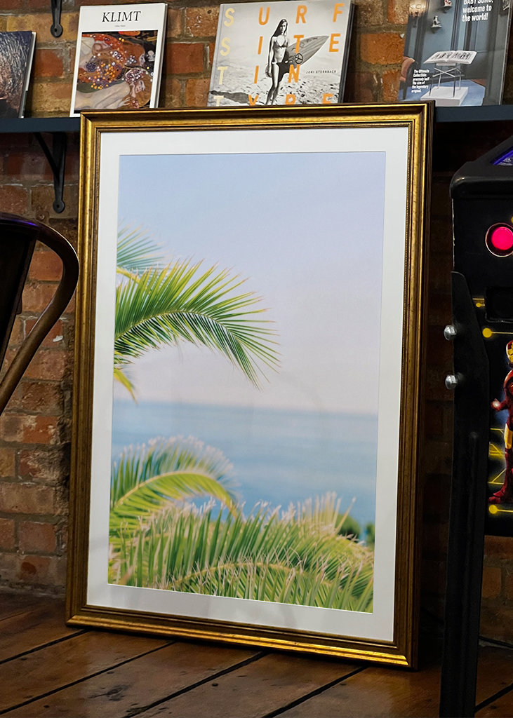 Palma tropického ráje