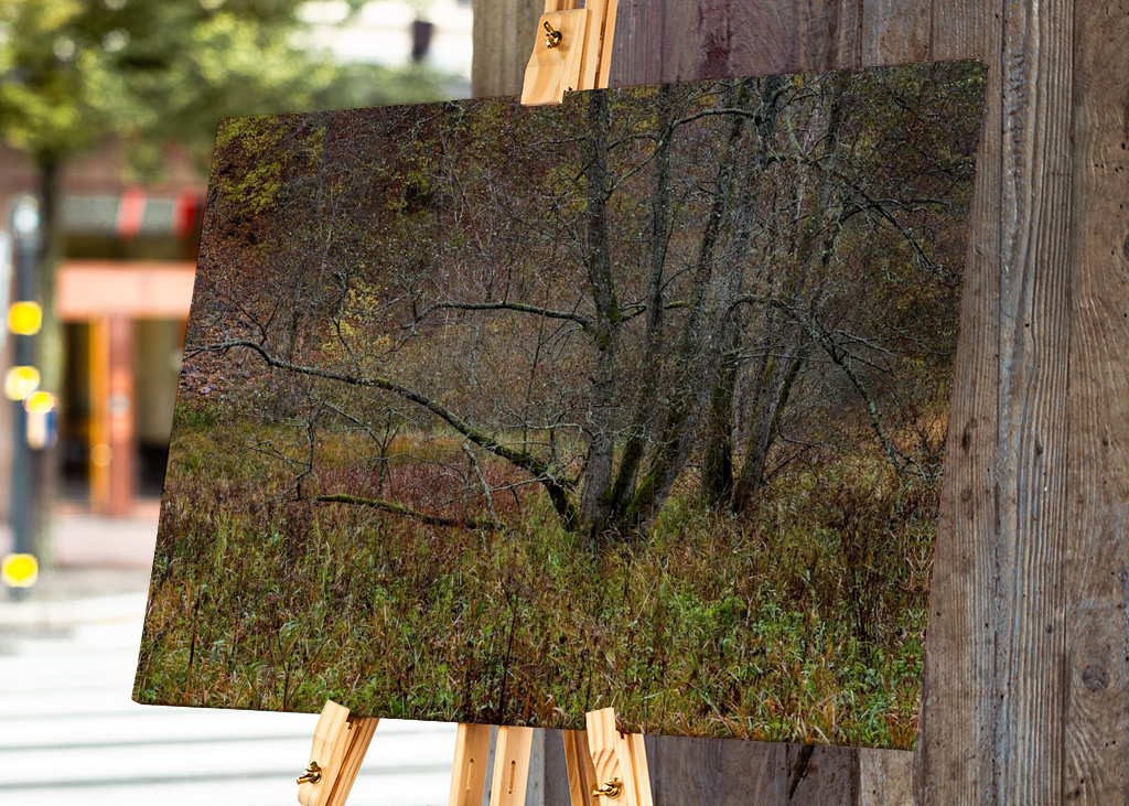 Herbst im Nationalpark
