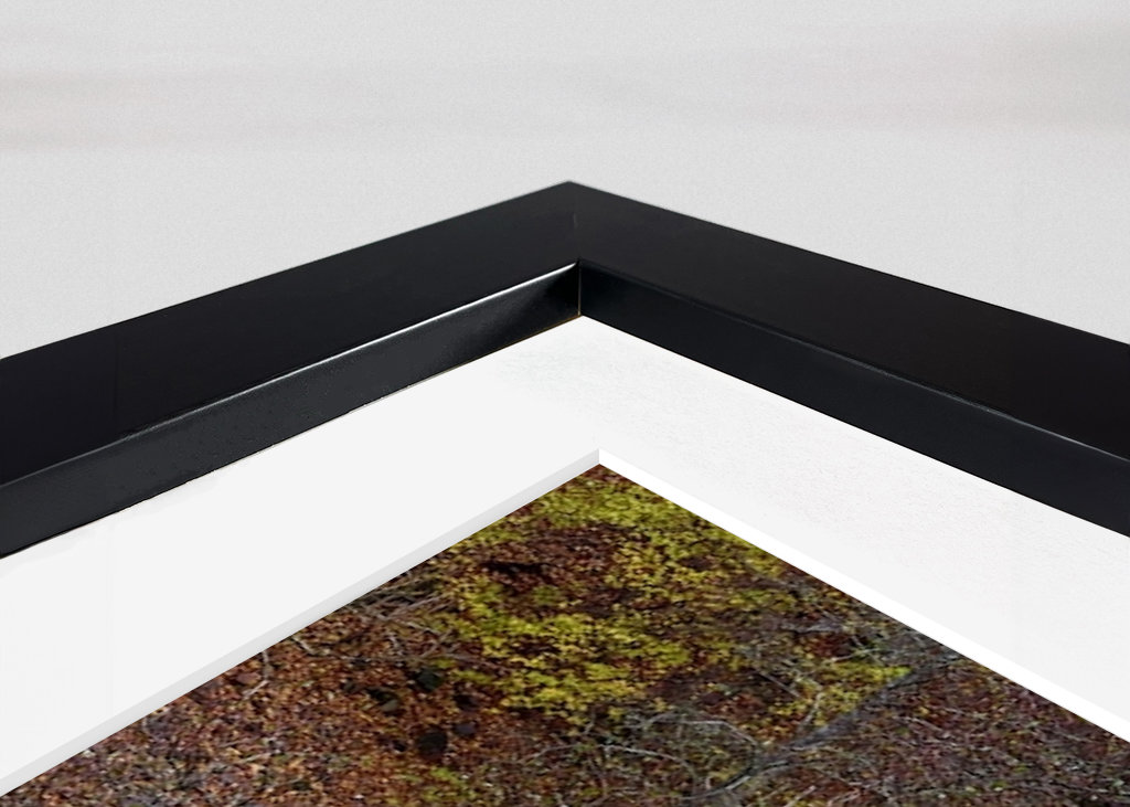 Herbst im Nationalpark