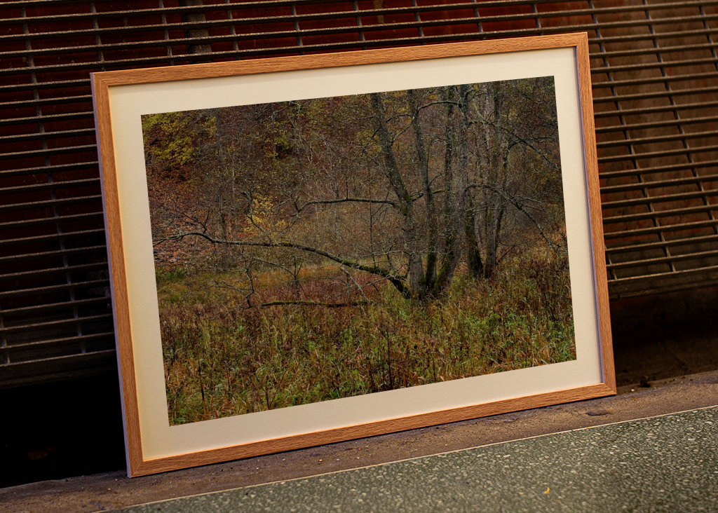 Herbst im Nationalpark