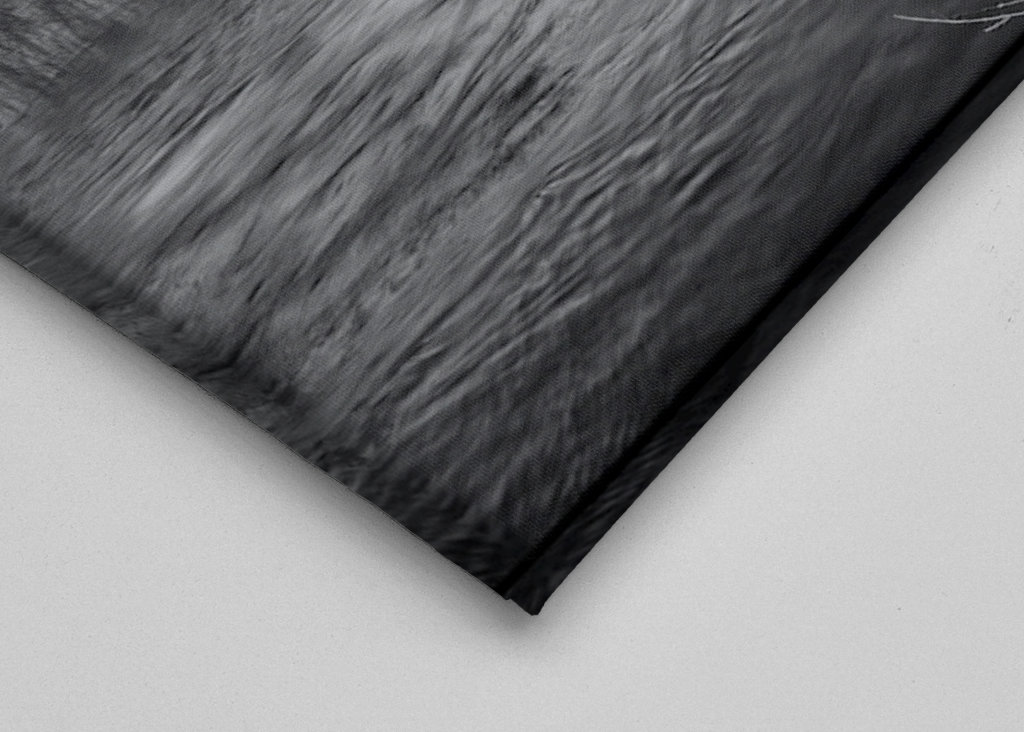 Stenbro, Schloss Nää