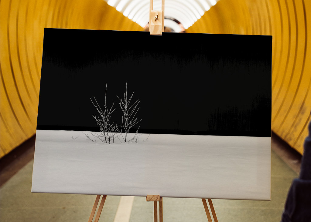 Fehér hó fekete háttér előtt