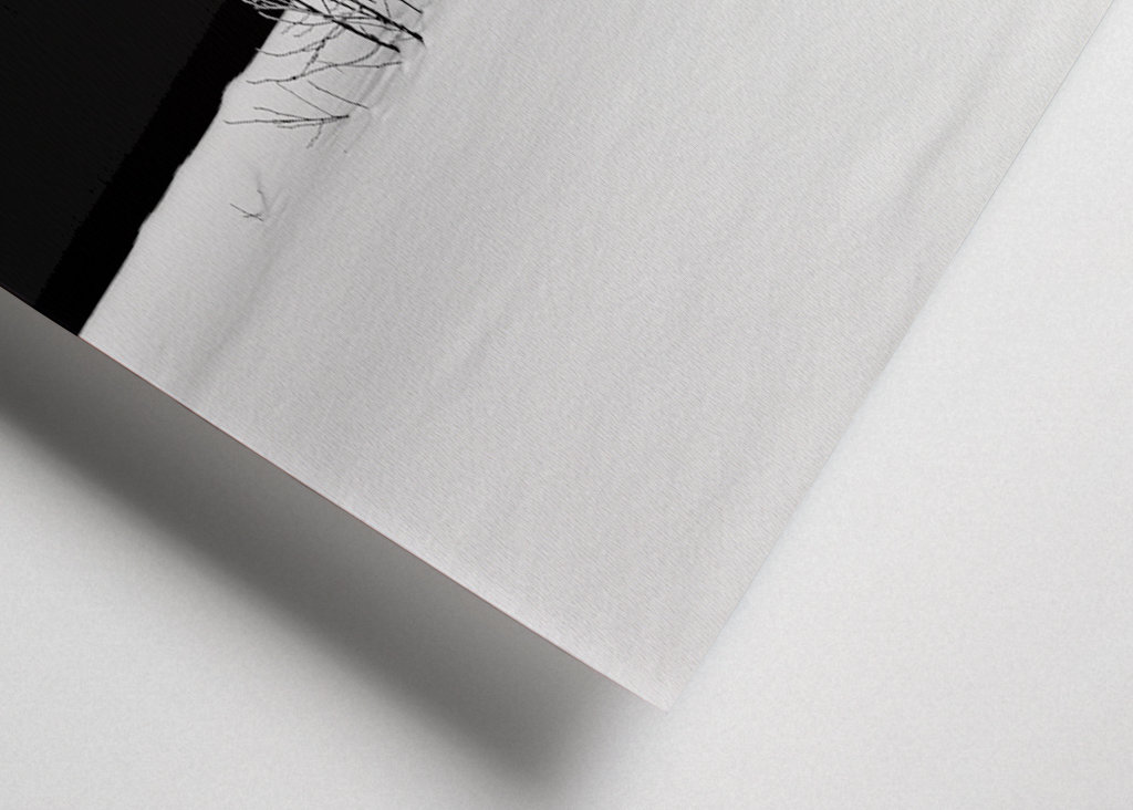 Fehér hó fekete háttér előtt