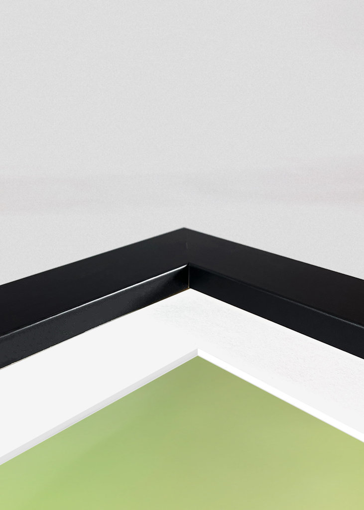 Planě rostoucí rostliny