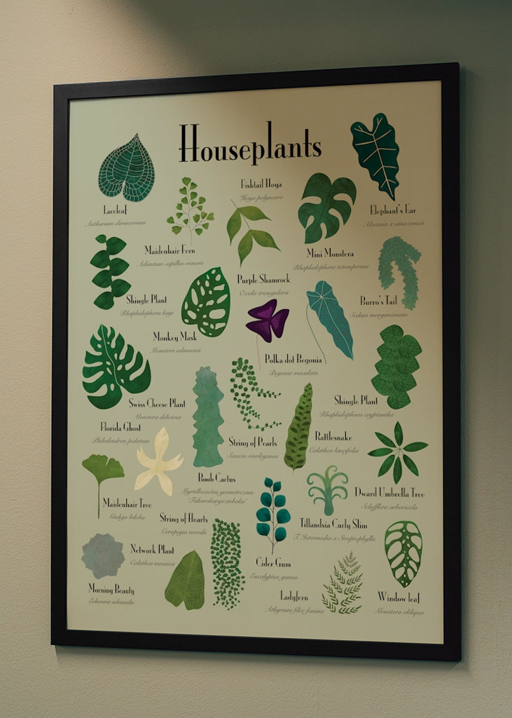 Houseplants
