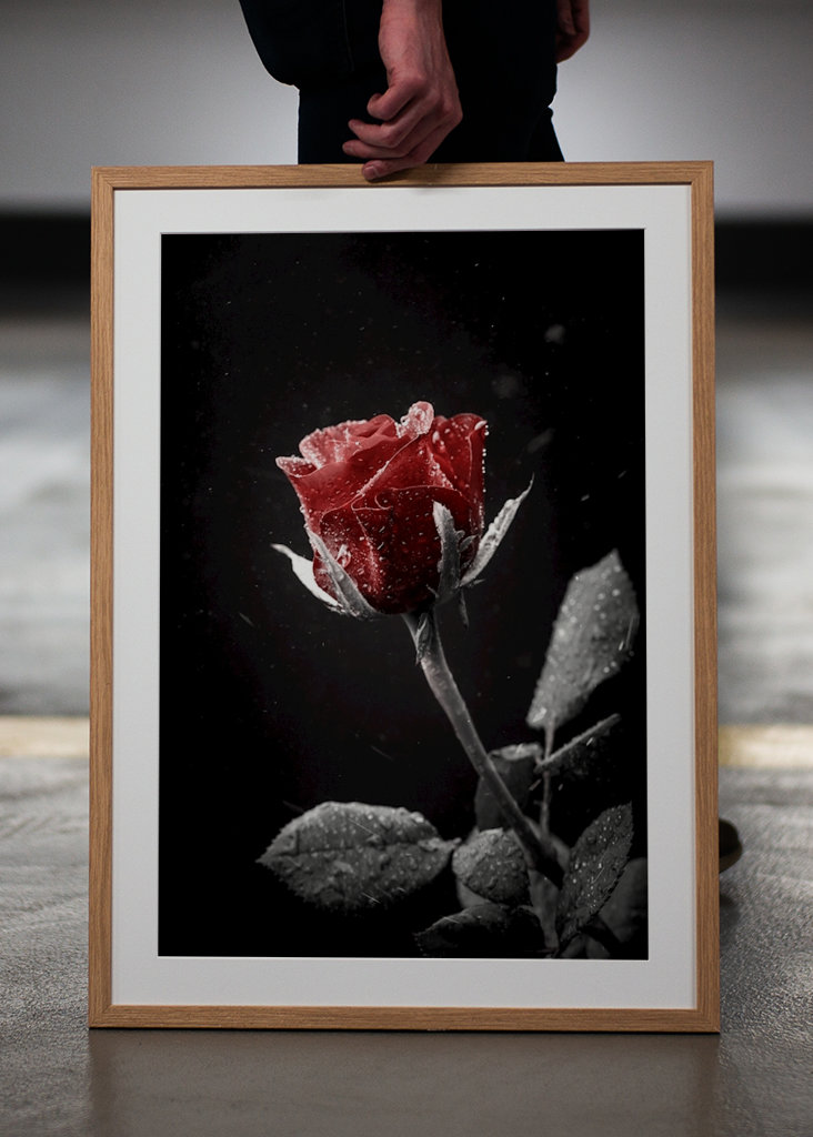 Un bacio da una rosa