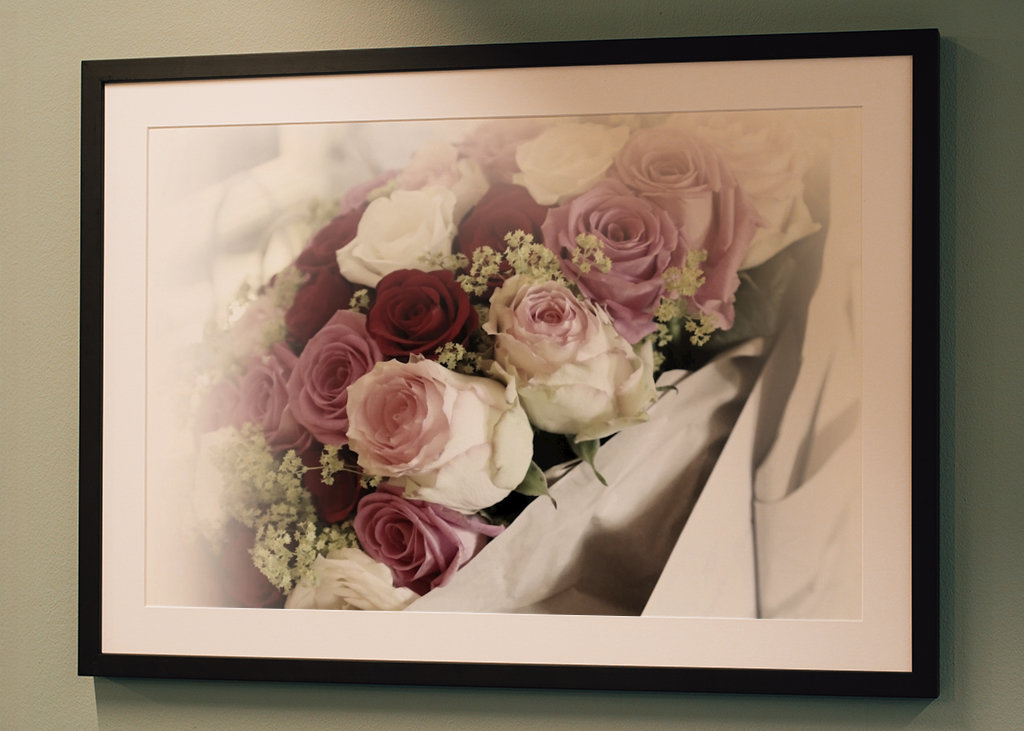 RŮŽE mému miláčkovi