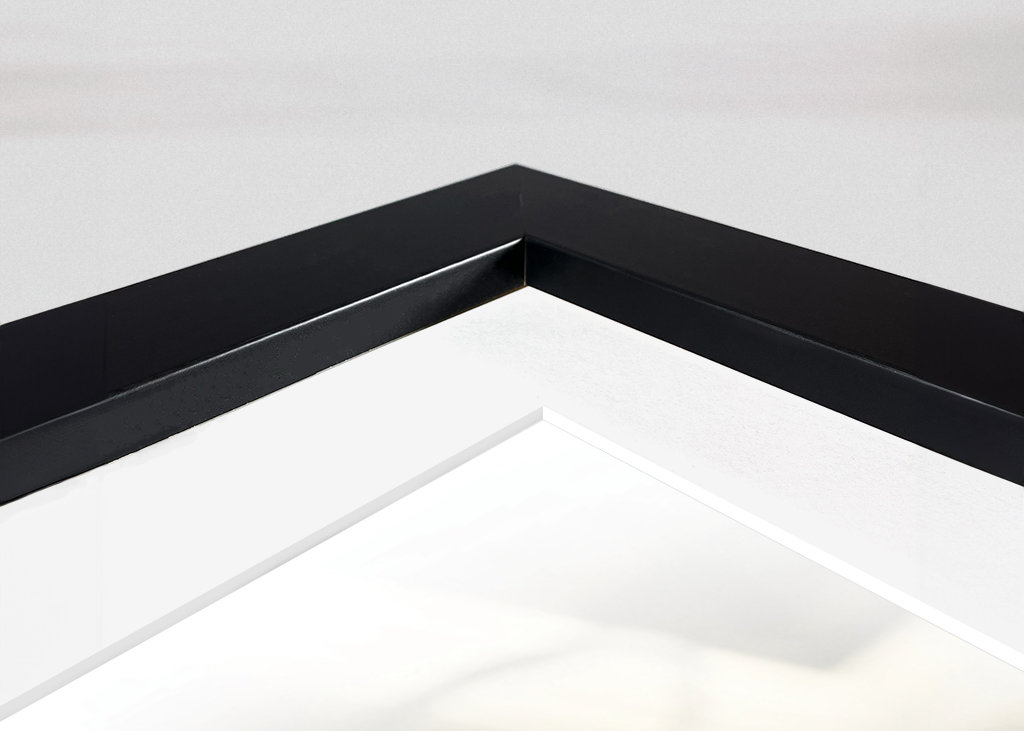 RŮŽE mému miláčkovi