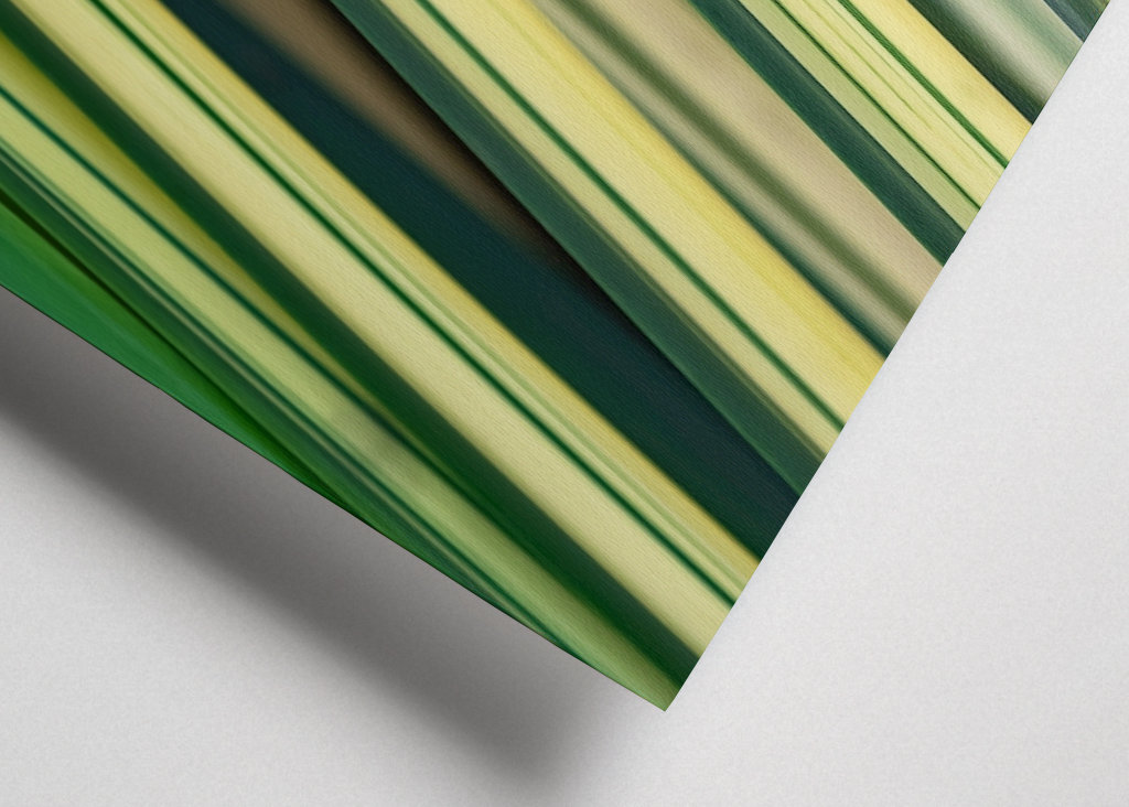 Pétalas de flores africanas em harmonia