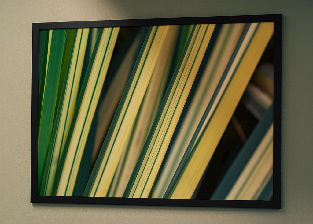 Pétalas de flores africanas em harmonia