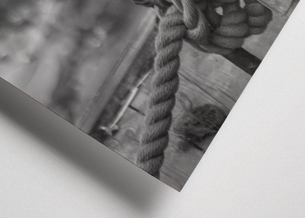 The Monkey on the Bridge