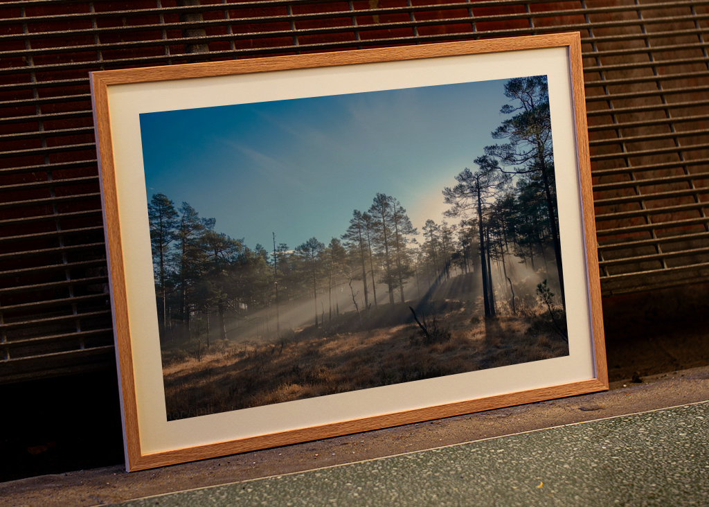 The sun breaks through mist