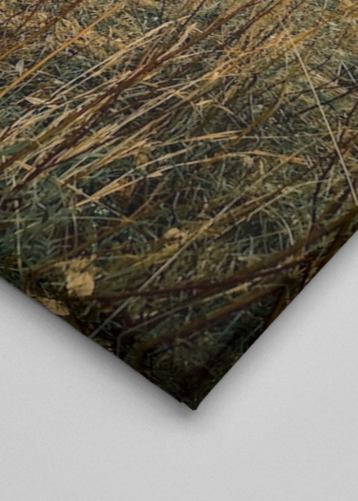 Twins in Svappavaara