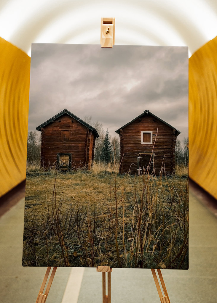 Twins in Svappavaara