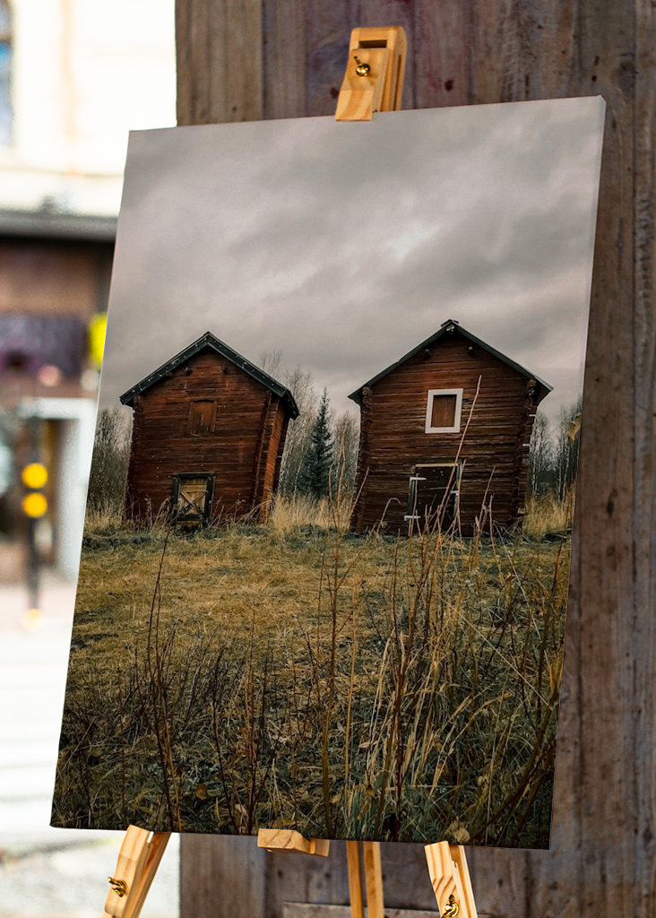 Twins in Svappavaara