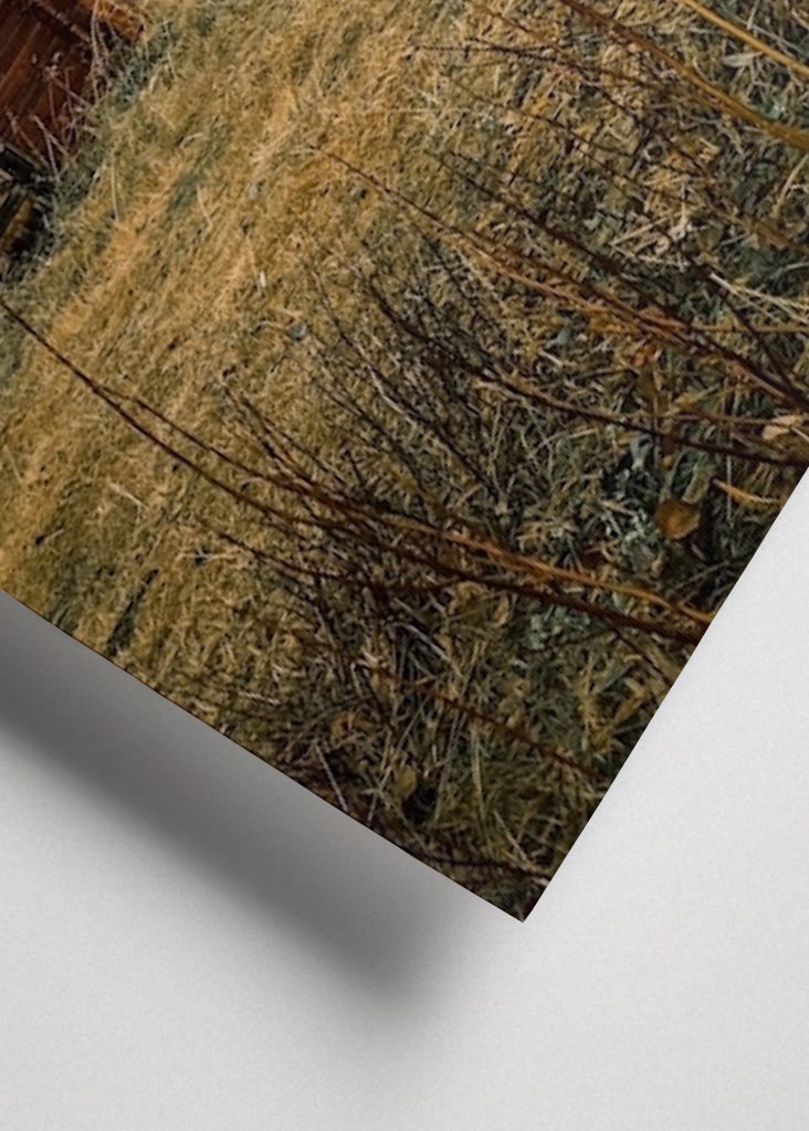 Twins in Svappavaara