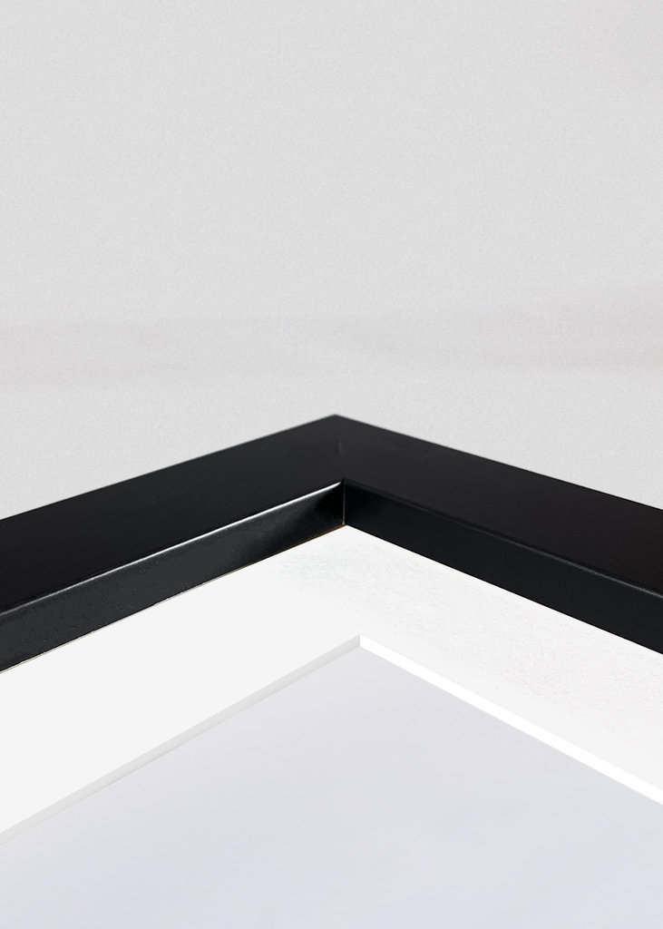 Reindeers in Nikkaloukta