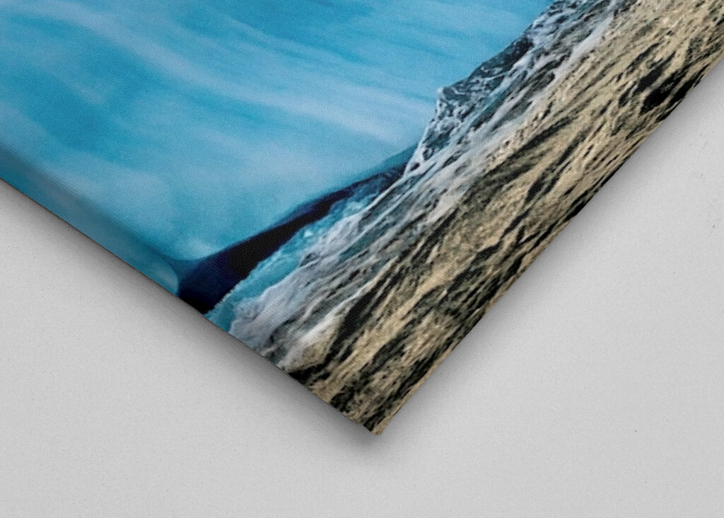 Lední medvěd ráno